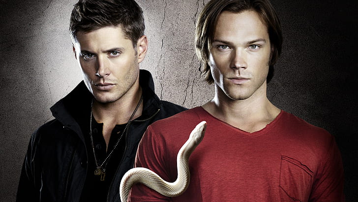 Supernatural TV series, supernaturals photo, HD wallpaper