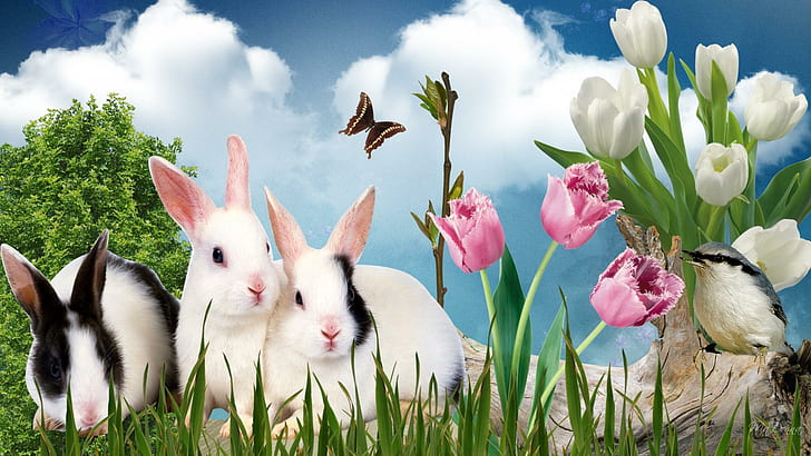 Spring Bunnies, firefox persona, grass, tulips, spirng, easter, HD wallpaper