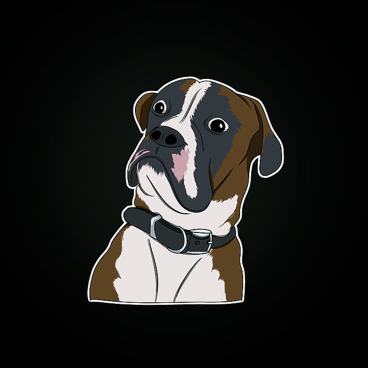 dog, wonderment, emotion, meme, sticker, black background, studio shot, HD wallpaper