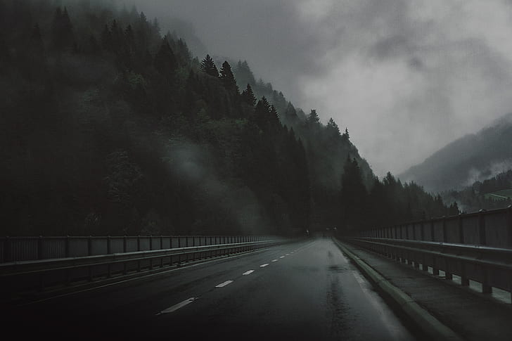 Road, Bridge, Forest, Sadness, The darkness, Rain, The atmosphere, HD wallpaper