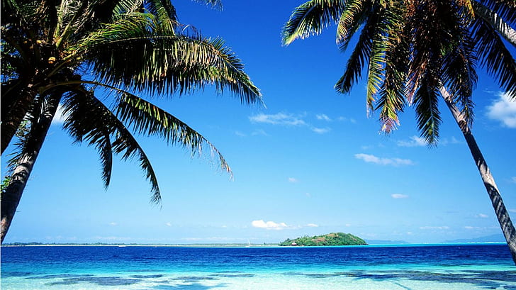 france, polynesia, tahiti Beach, tropical Beach, HD wallpaper