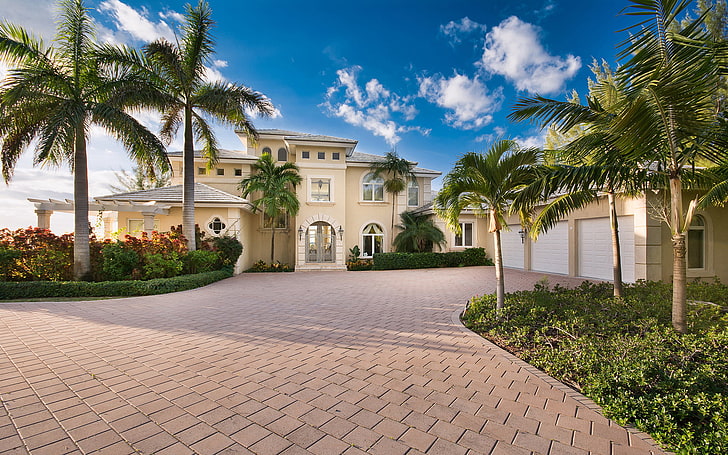 green palm tree, house, home, villa, luxury, bahamas, tropical climate, HD wallpaper