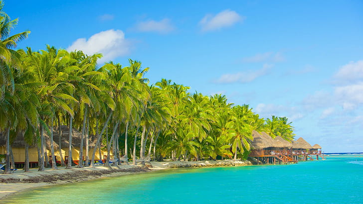 Island Of Akitua Aitutaki Cook Islands Bungalow Tropical Beach Coconut Trees Australia South Pacific, HD wallpaper