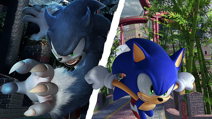 Sonic, Sonic Unleashed, Sonic The Werehog, Sonic the Hedgehog, HD wallpaper