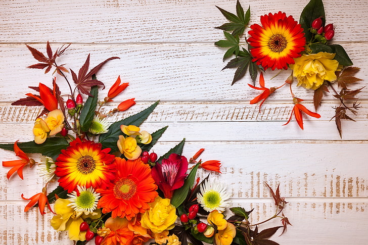 Free download Flowers Wallpaper And Background Image Fall Flower Wallpaper  736x1102 for your Desktop Mobile  Tablet  Explore 28 Fall Flowers  iPhone Wallpapers  Fall Flowers Wallpaper Fall Flowers Wallpaper  Computers