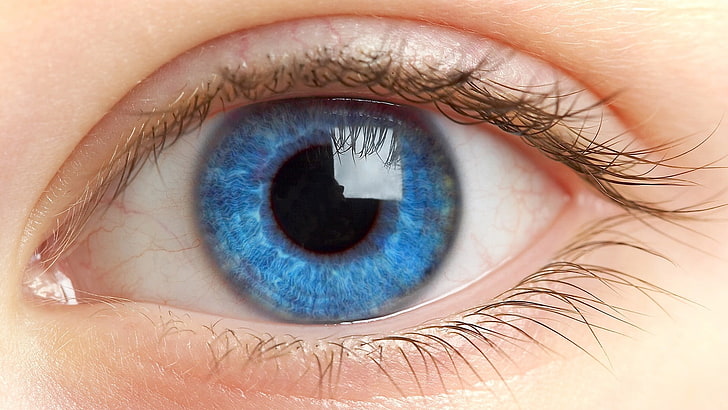 blue eye, eyes, eyelashes, pupil, human Eye, close-up, macro, HD wallpaper
