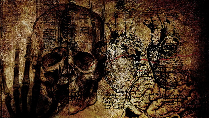 HD wallpaper: grunge, skull, textured, no people, art and craft, creativity  | Wallpaper Flare