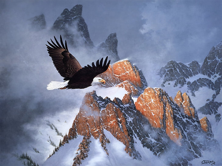 brown and white bald eagle, winter, clouds, snow, mountains, flight, HD wallpaper