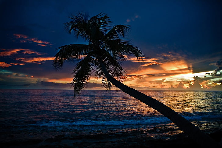 sunsets ocean clouds landscapes nature skyline waves shore palm trees seascapes 1920x1280 wallpap Nature Oceans HD Art, HD wallpaper