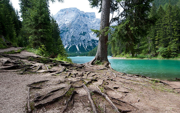 Lago di Braies, lake, forest, mountains, HD wallpaper