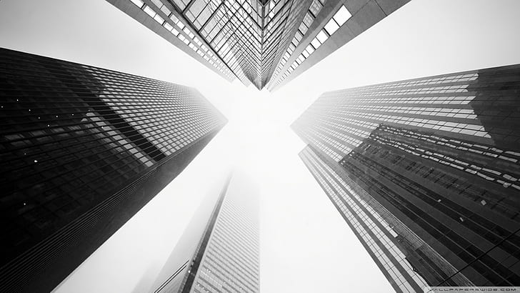 skyscraper  depth of field  Four Kings  photography  Toronto  cityscape  worms eye view  sky  monochrome  building