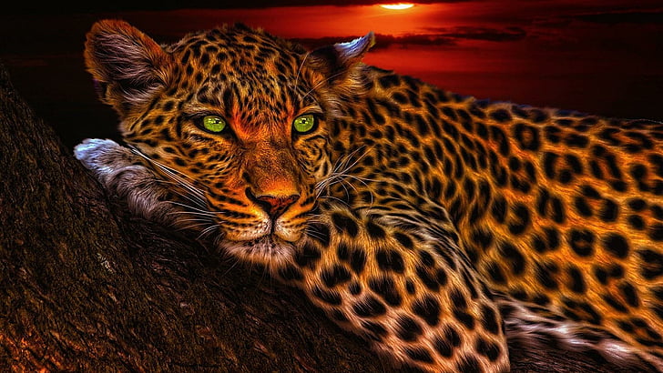 leopard, digital art, big cat, sunset, night, HD wallpaper