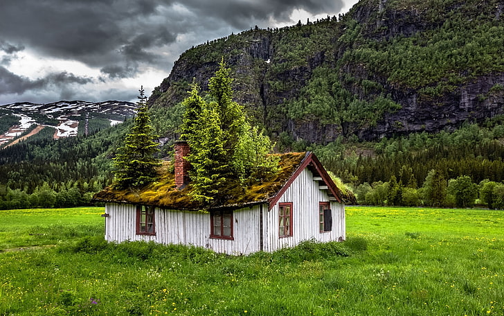 gray wooden house, landscape, nature, summer, abandoned, Norway, HD wallpaper