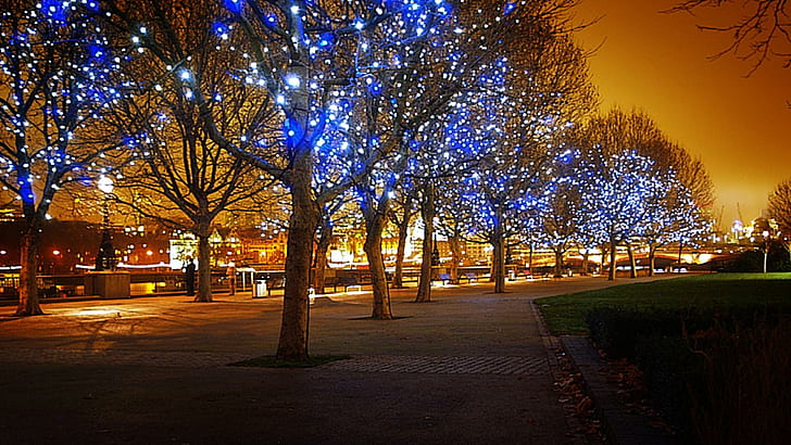 Christmas Light Up, blue lighted string lights, cool, warm, blue amazing, HD wallpaper