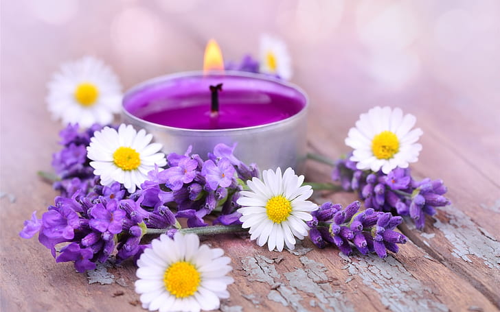 White daisy flowers, lavender, candles