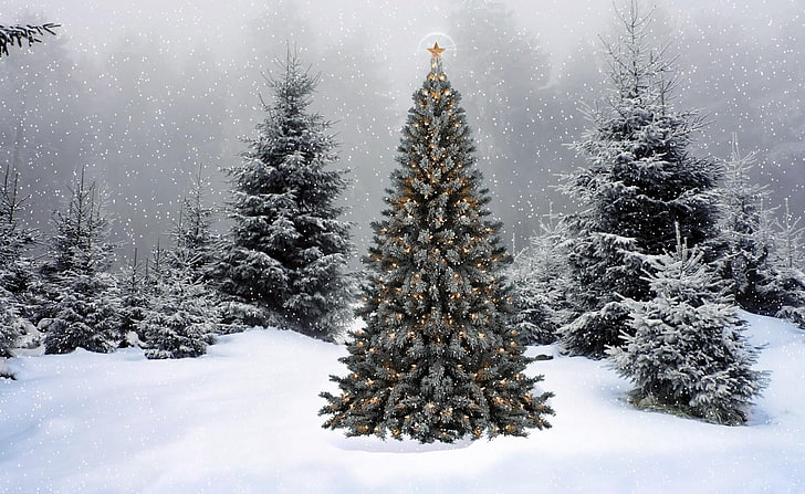 Christmas tree, trees, garland, star, snow, winter, forest, new year, HD wallpaper
