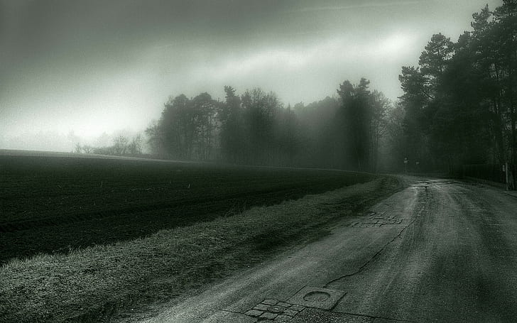 road, mist, trees, spooky