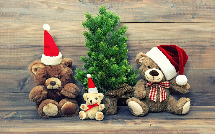 three brown bear plush toys, teddy bears, Christmas, fir, stuffed toy, HD wallpaper