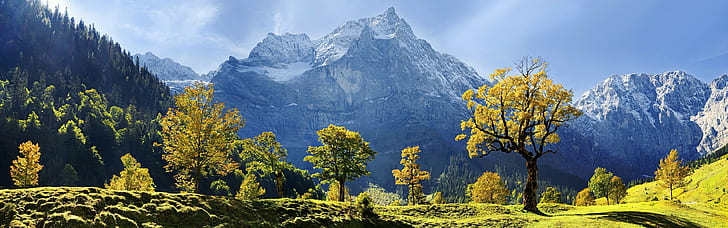 Maple trees, snow-covered mountains, autumn, Karwendel, Austria, green leaf trees, HD wallpaper