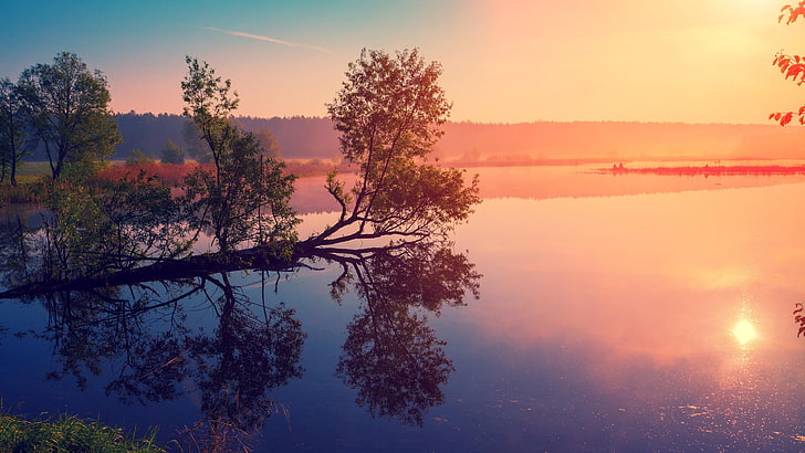 sunrise, lake, morning, reflection, tree, photography, sky, HD wallpaper