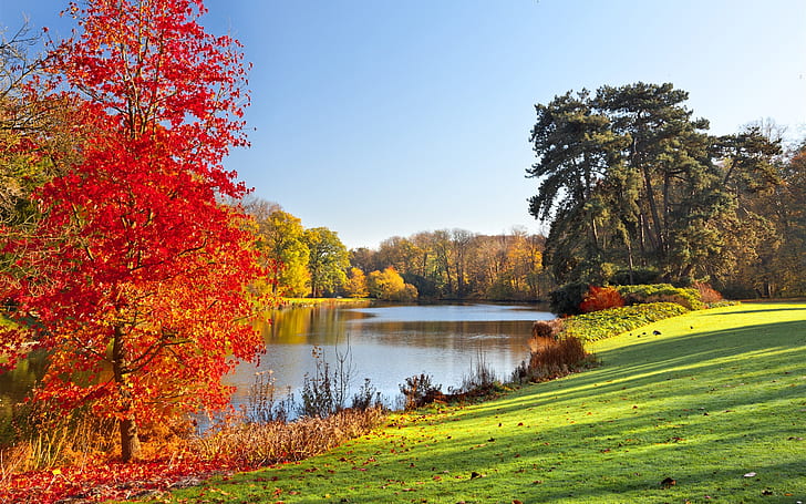 Autumn park, lake, trees, leaves, nature scenery, HD wallpaper