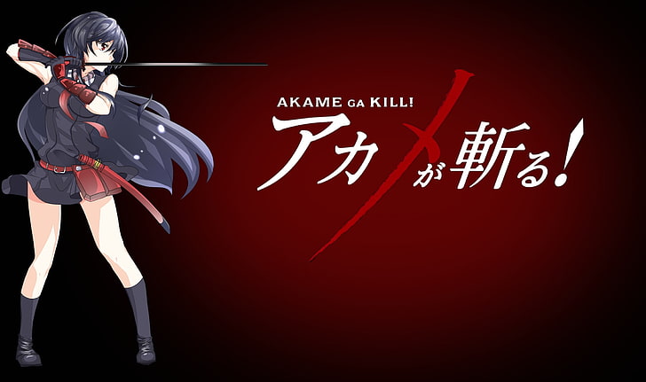 Akame Ga Killi wallpaper, anime, Akame ga Kill!, red, communication, HD wallpaper