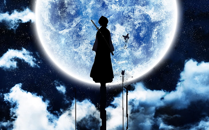Rukia silhouette, Bleach, Kuchiki Rukia, space, sky, cloud - sky, HD wallpaper