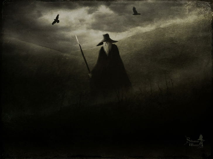 Odin, raven, HD wallpaper