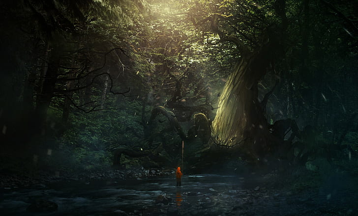 fantasy art, digital art, forest, river, trees, sun rays, HD wallpaper