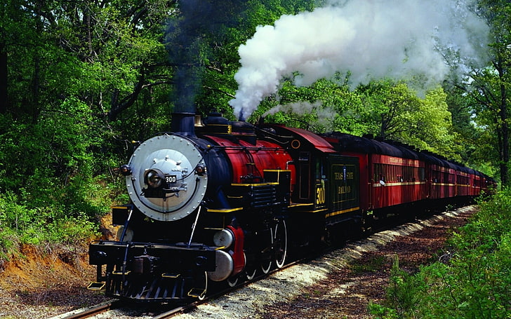 red and black train, vintage, steam locomotive, trees, vehicle