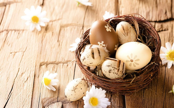 Easter Eggs Daisies Flowers, white and brown egg