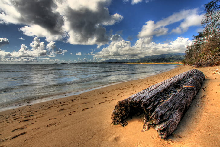 brown Beach sand, Cast Away, oahu, north shore, State, Recreation Area, HD wallpaper