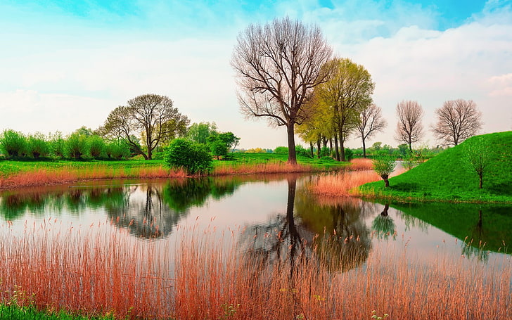 lake, nature, spring, water, reflection, trees, sky, plant