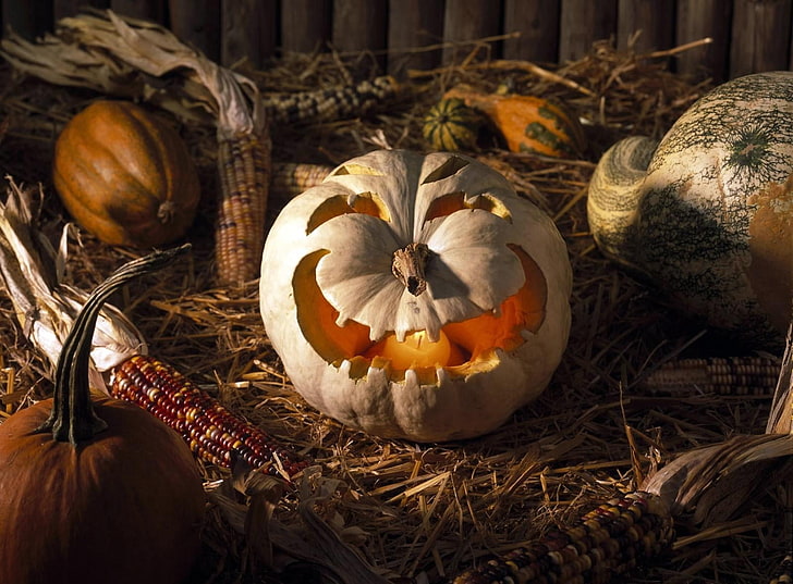 Jack-'O-Lantern decor, halloween, holiday, pumpkin, corn, hay, HD wallpaper