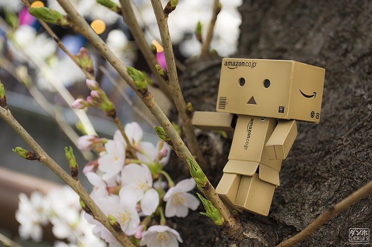 dunboard toy, Danbo, Amazon, cherry blossom, spring, Japan, Japanese, HD wallpaper
