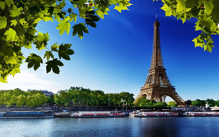 Eiffel Tower, cityscape, France, Paris, river, leaves, paris - France