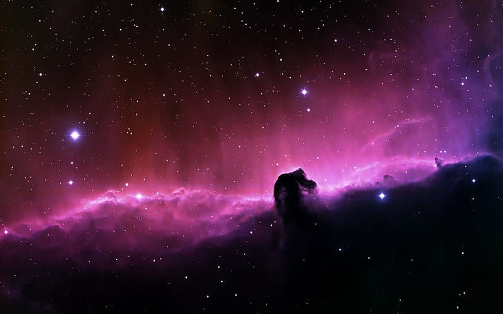 horsehead nebula nebula space space art, star - space, astronomy