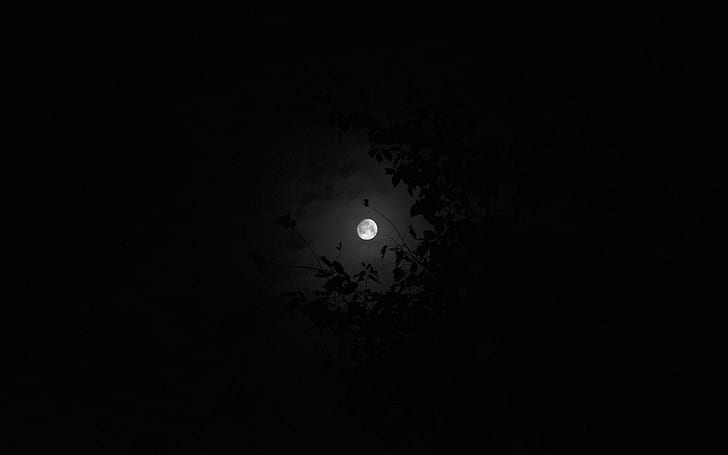 Moon, night, sky, HD wallpaper