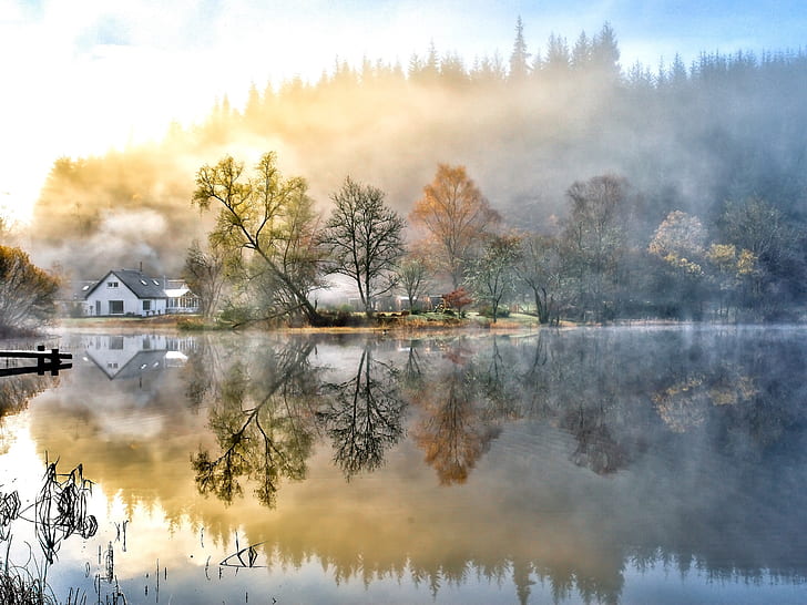 Beautiful painting, house, forest, lake, nature, morning, fog, HD wallpaper
