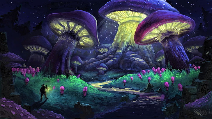 artistic, fantasy, forest, mushroom, night, purple, HD wallpaper