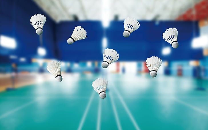 Badminton, white badminton shuttlecock lot, sports, court, gym