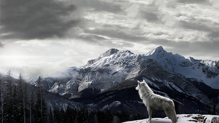 animals, mountain, snow, ice, landscape, sky, mountains, glacier, HD wallpaper