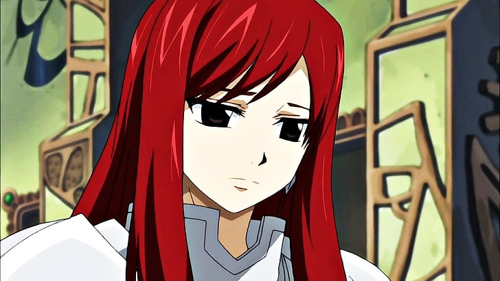 red and white wooden wall decor, anime, Fairy Tail, Scarlet Erza