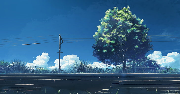 5 Centimeters Per Second, anime, power lines, trees, utility pole, HD wallpaper