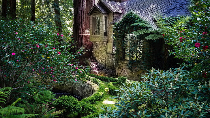 cabin, forest, tree, cottage, house, garden, amazing, lifestyle, HD wallpaper