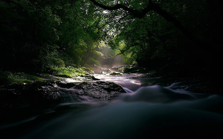 Forest rivers sunlight-Windows 10 HD Wallpapers, water, scenics - nature HD wallpaper