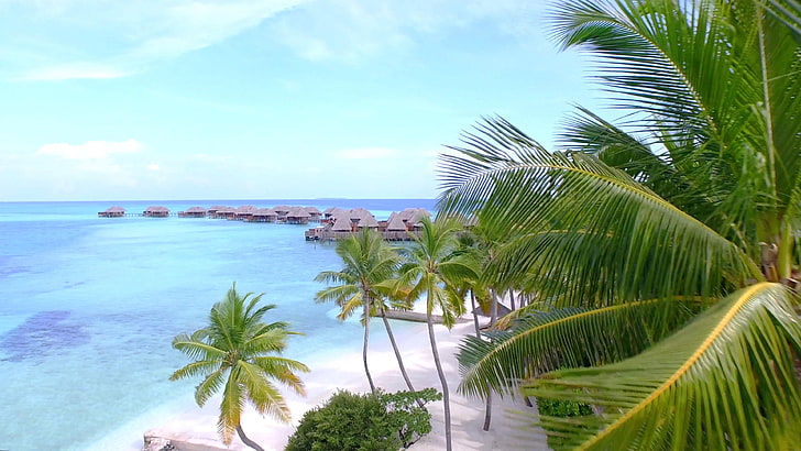 palm, philippines, white sand, aerial, bay, tourism, beach, HD wallpaper