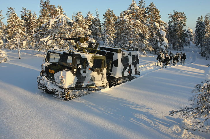 Hägglunds BV206, Swedish Army, winter, snow, HD wallpaper