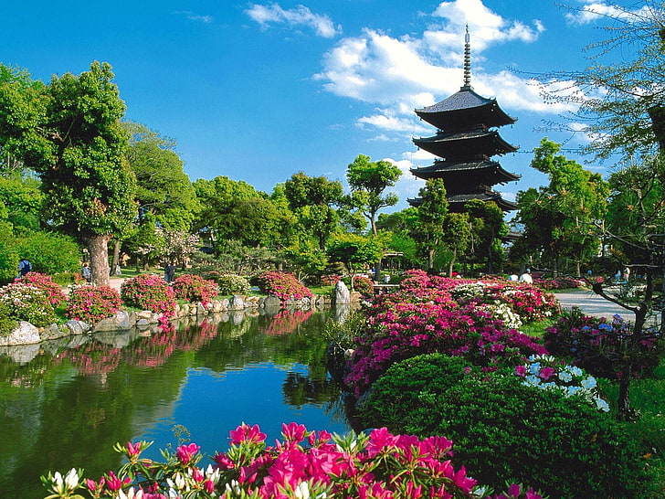 pink flowers, pond, trees, pagoda, Toji Temple, plant, water