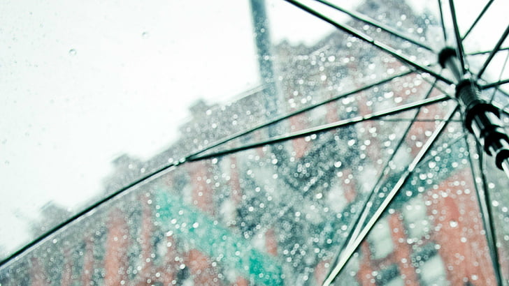 HD wallpaper: rain, umbrellas | Wallpaper Flare